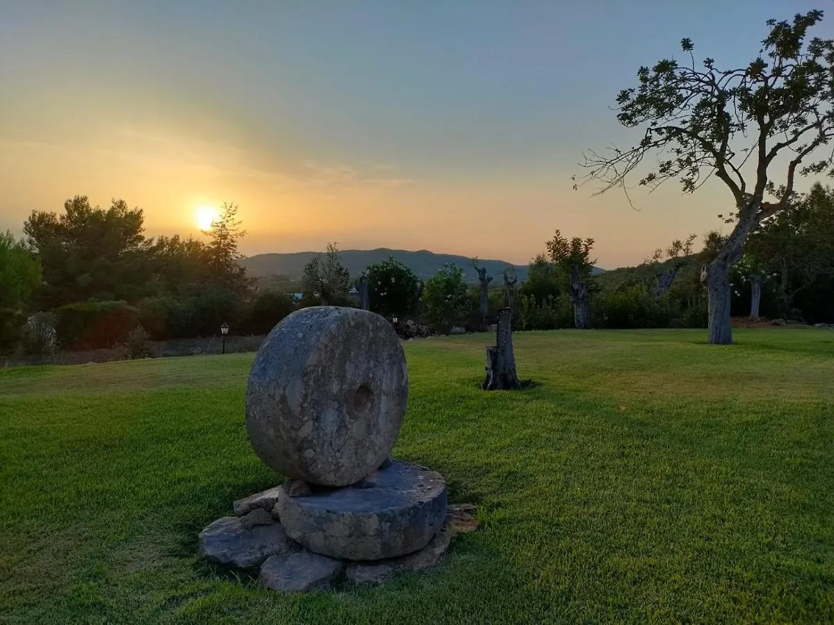 Agroturismo Can Marquet - Adults Only Santa Gertrudis  Отель